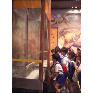 20080618 (44).JPG